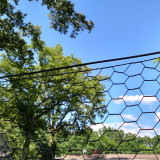 2' x 100' Steel Hex Web Black PVC Coated Fence