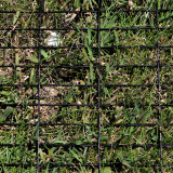 4' x 100' Welded Wire Fence Dog Fence-14 ga. galvanized steel core; 12 ga after Black PVC-Coating, 1" x 3" Mesh