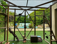 ​ Creating the Purr-fect Catio: A Comprehensive Guide