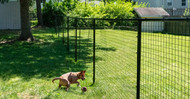 Effortlessly Merge Your Pet Fence with Your Garden Design