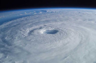 Hurricane Prep With Pets