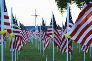 Veterans Day 2019!