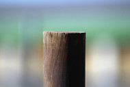 Posts For Dog Fence