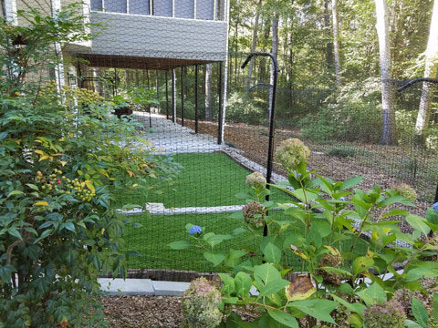 Selecting the Best Fencing for Your Pet Easy Pet Fence