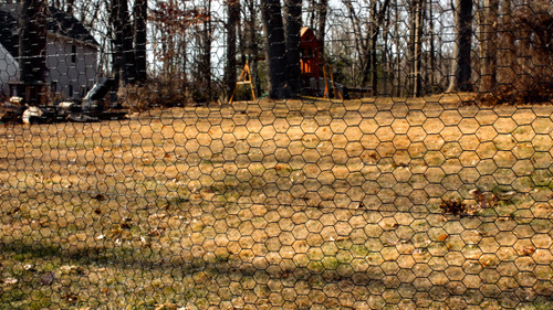 Steel Hex Web Black Dog Fence used in a backyard.