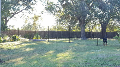 A backyard with a dog in the distance that is held back by a fence.