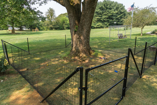 DIY Dog Fences, Easy to Install Dog Fencing