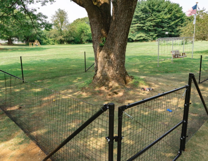12 Innovative Pet Fencing Solutions For Outdoors & Indoors