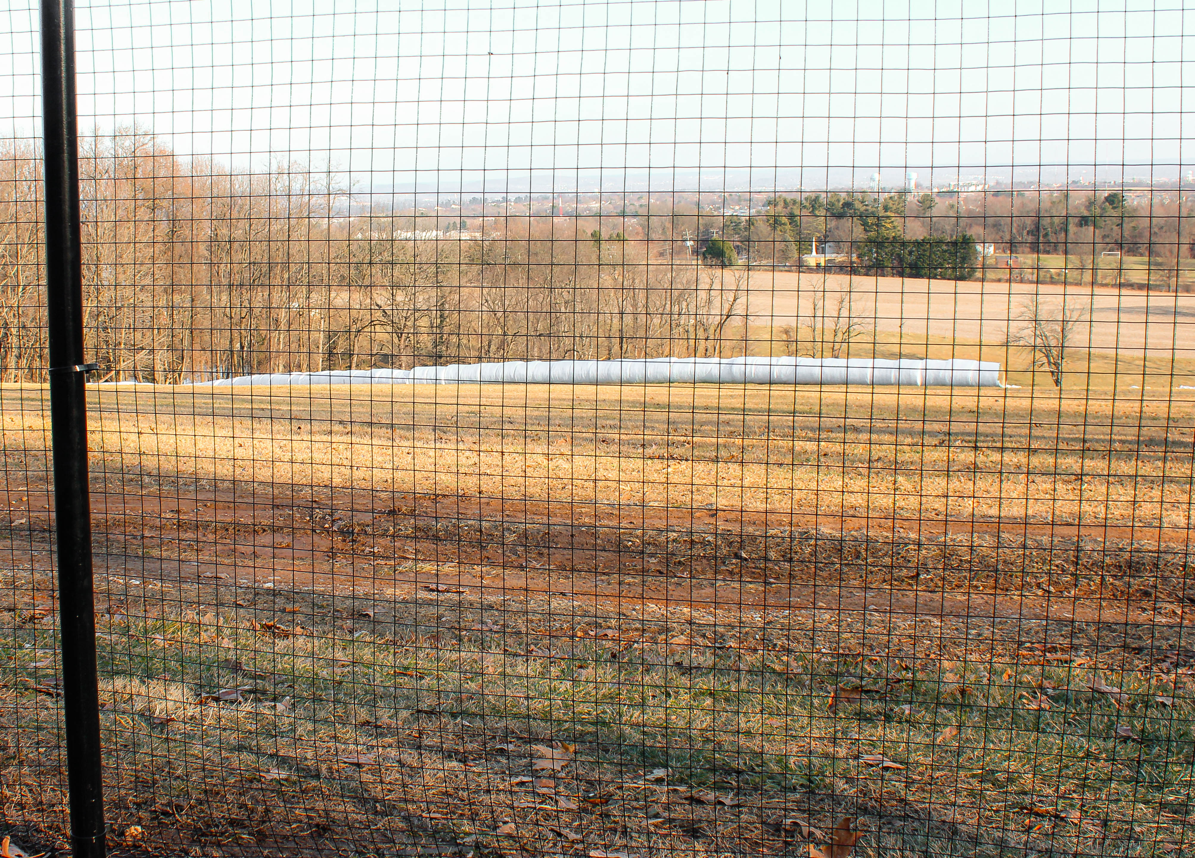 welded wire dog fence