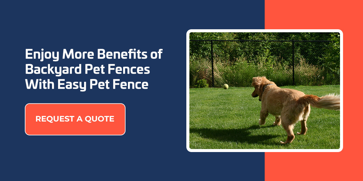 Enjoy More Benefits of Backyard Pet Fences With Easy Pet Fence
