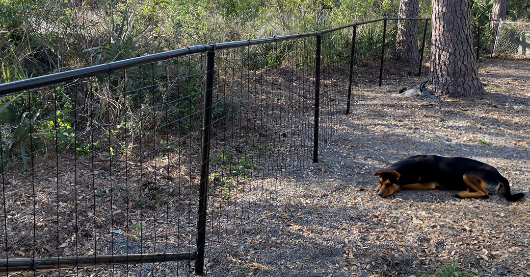 Top 5 Reasons Why Easy Pet Fence Is a GameChanger Easy Pet Fence