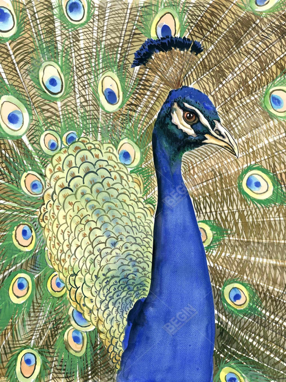 Peacock Feathers Fleece Blanket - Animal Decor