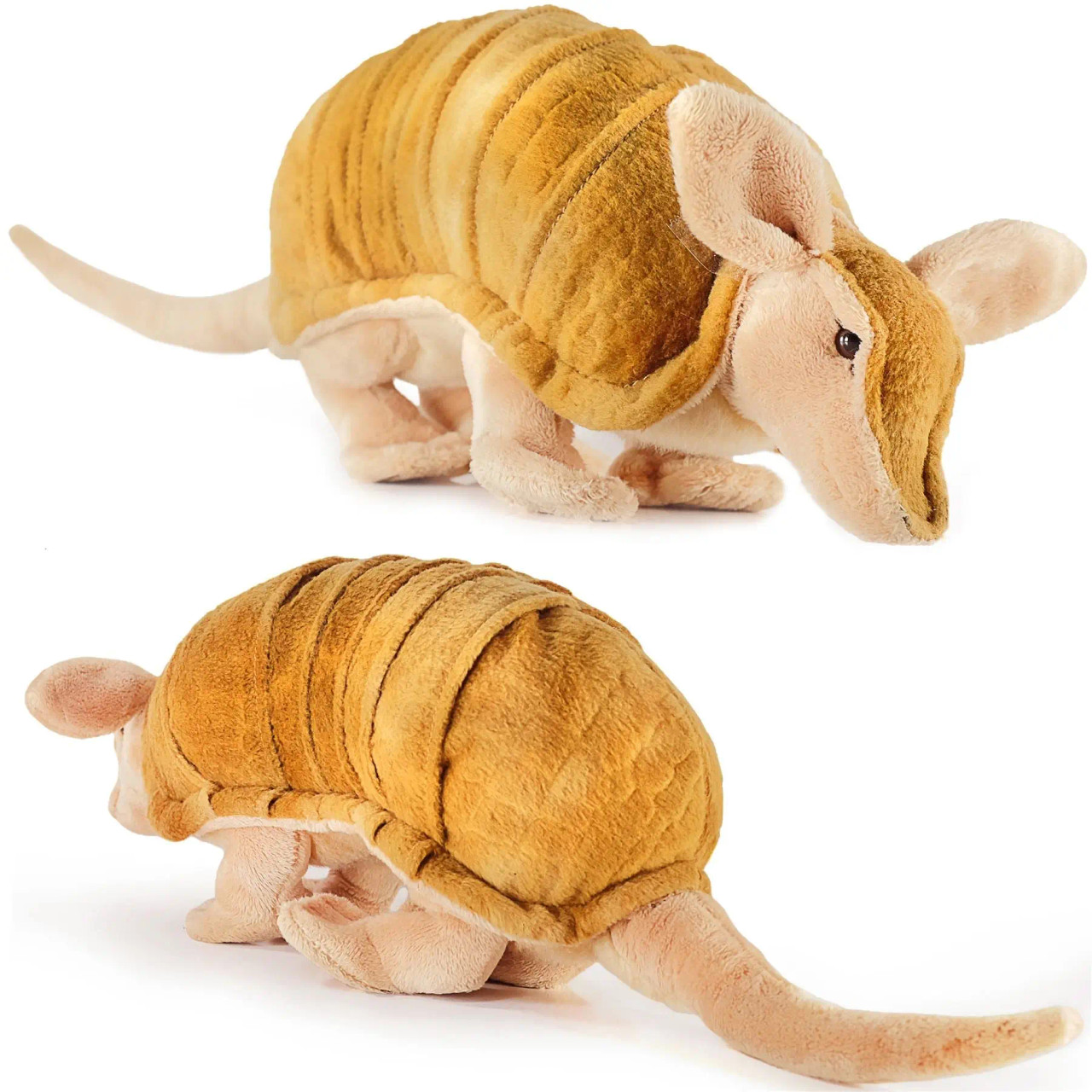 armadillo teddy