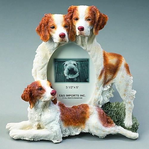 small brittany spaniel