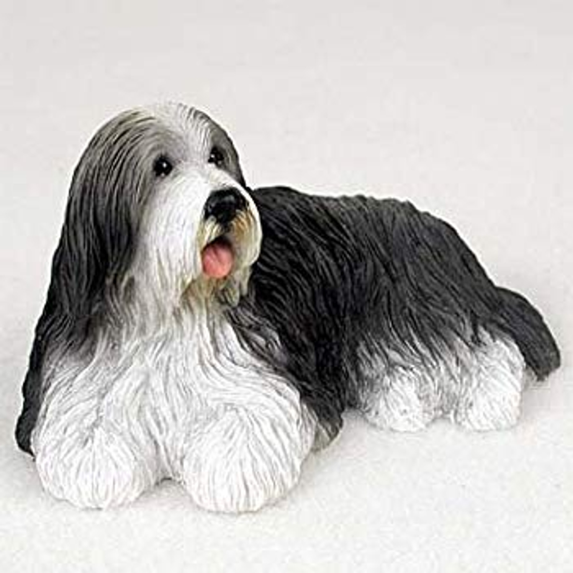 Bearded collie merchandise Outlet