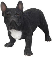 Black French Bulldog Statue Black French Bulldog Statue