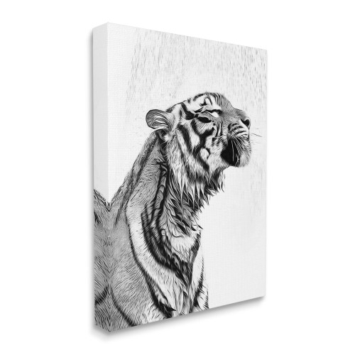 Tiger Canvas Art Print