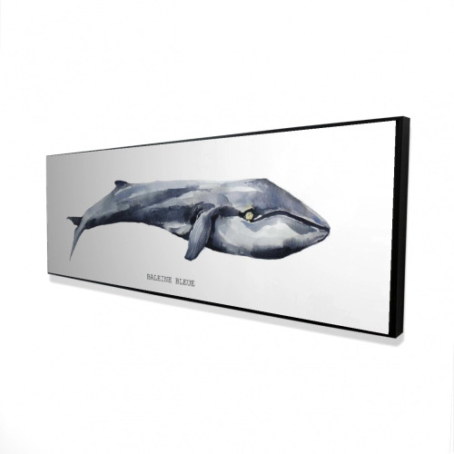 Blue Whale Canvas Art Print