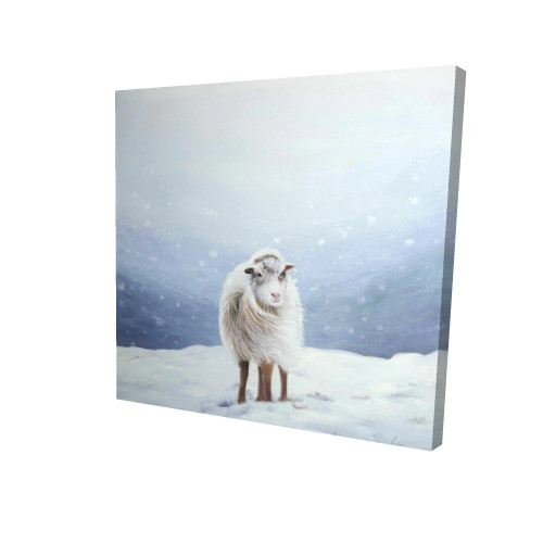 Winter Long-Hair Sheep Fine Art Print