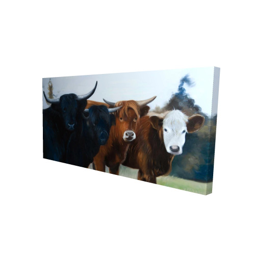 Four Cows Fine Art Print - Long