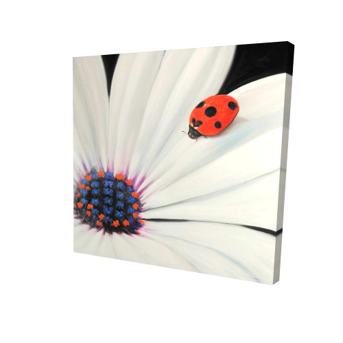 Ladybug on White Daisy Fine Art Print