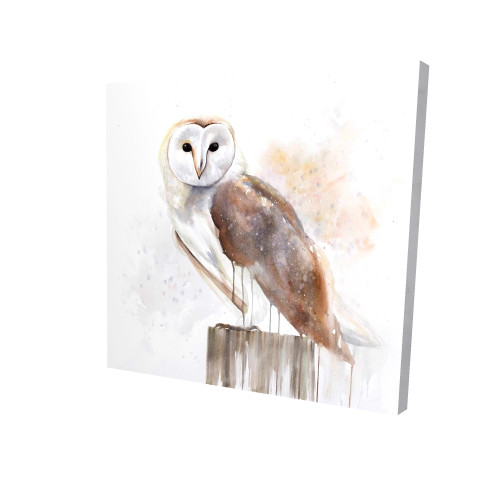 Barn Owl Portrait Fine Art Print