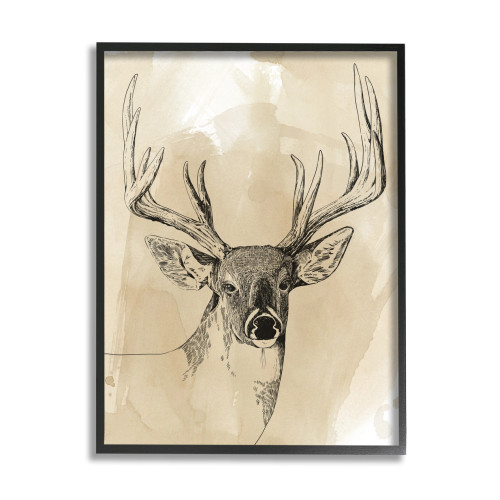 Framed Deer Canvas Art