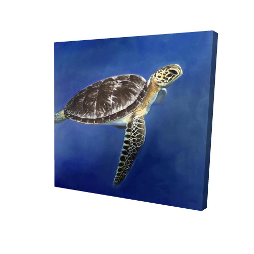 Sea Turtle Canvas Art