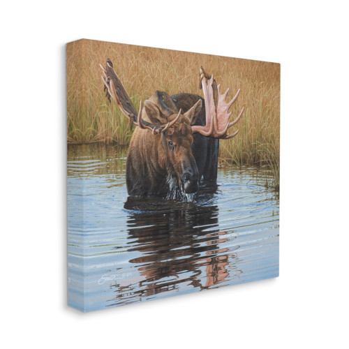 Thirsty Moose Canvas Art Print