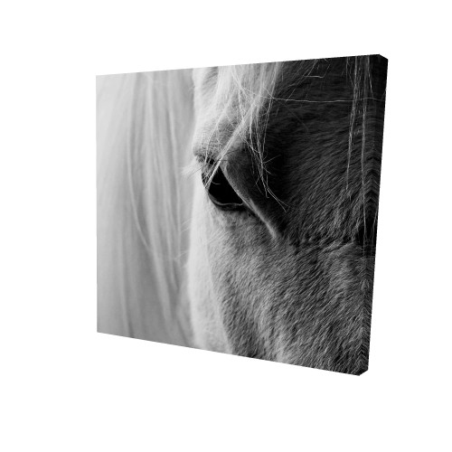 White Horse Eye Canvas Art Print
