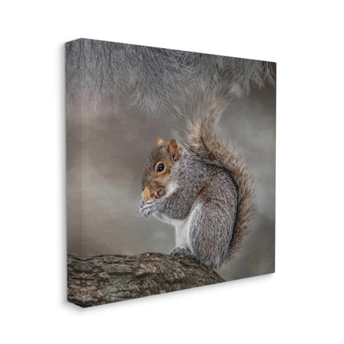 Squirrel Canvas Art Print