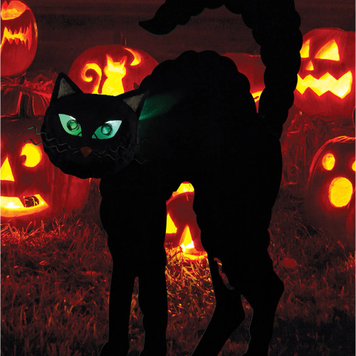 Black Cat Solar Stake