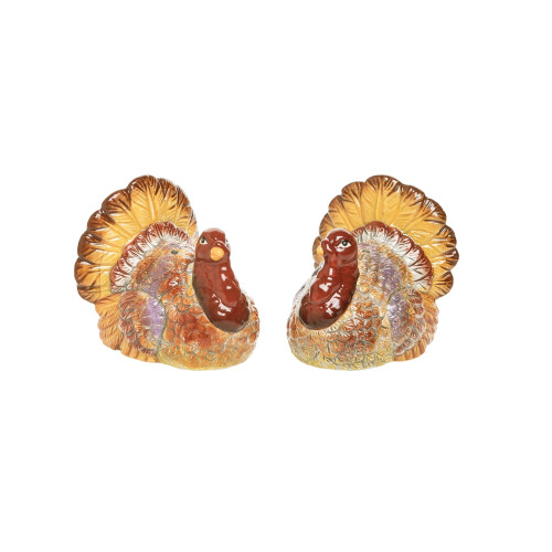 Fall Turkey Salt & Pepper Shakers
