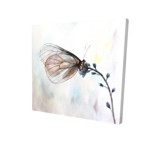 Delicate Butterfly Fine Art Print