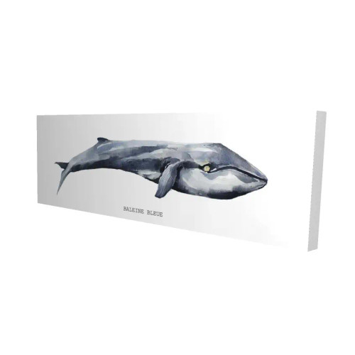 Blue Whale Canvas Art