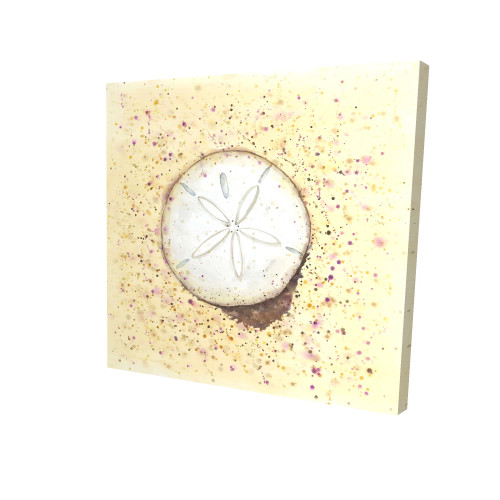 Sand Dollar on Sand Fine Art Print