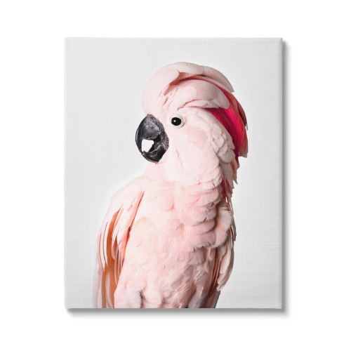 Pink Cockatoo Portrait Canvas Art Print