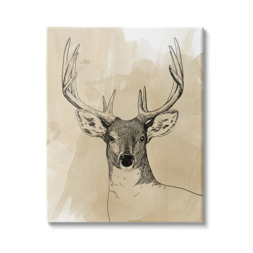 Illustrated Deer Canvas Wall Art