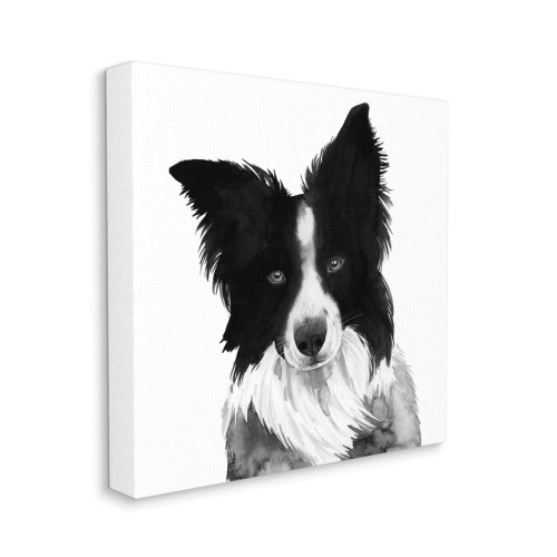 Border Collie Canvas Wall Art