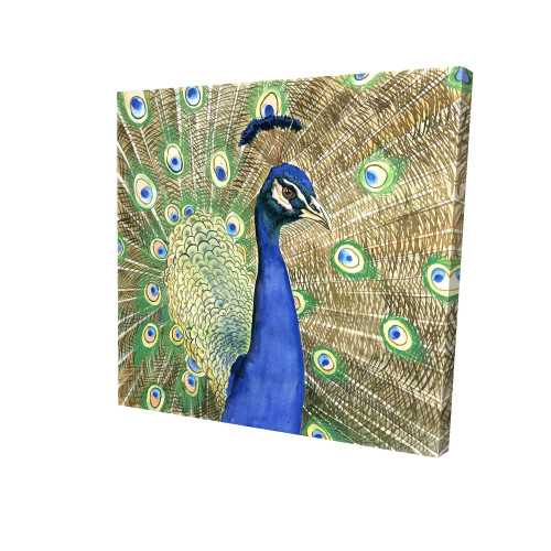 Peacock Feathers Fine Art Print
