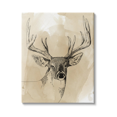 Deer Canvas Wall Art