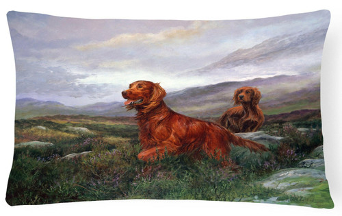 Highland Irish Setter Throw Pillow - Indoor/Outdoor