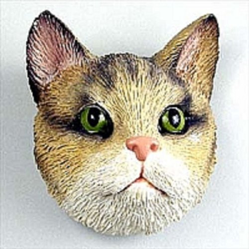 Brown Tabby Cat Magnet