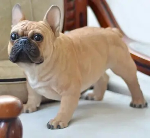 French Bulldog Statue