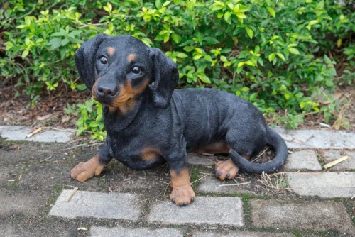 Dachshund Statue