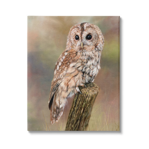 Fall Tawny Owl Canvas Art Print