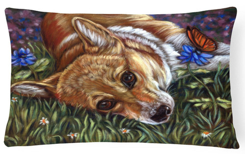 Corgi Throw Pillow/Butterfly Throw Pillow