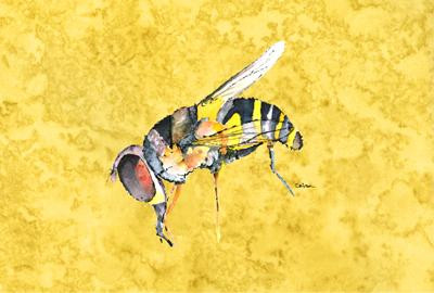 Bee Placemat