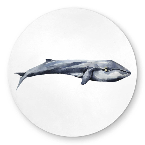 Blue Whale Outdoor Rug