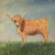Highland Cow in Daisy Field Throw Pillow